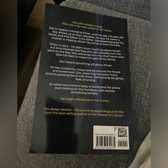 The Better Mother by Emily Shiner - Picture 2 of 3